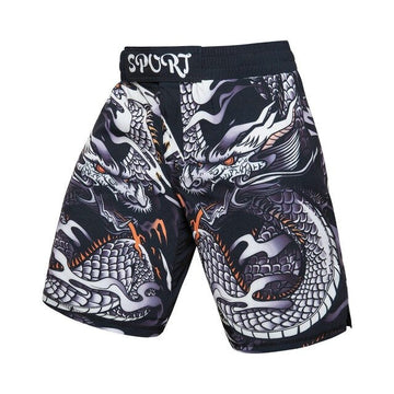 Dragon Silver Dragon Elite Fight Shorts Dragon Silver Dragon Elite Fight Shorts Dragon Silver Dragon Elite Fight Shorts